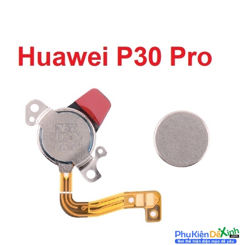 Loa Trong, Loa Tai Nghe Huawei P30 Pro Pair Earpiece Speaker 
