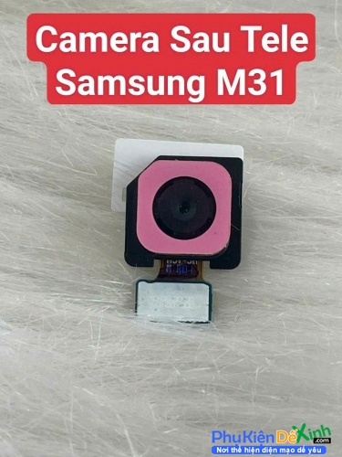 Cụm Camera Sau Tele Samsung Galaxy M31 Zin New