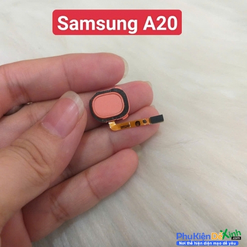 Dây Nút Vân Tay Samsung A20 Zin Tháo Máy