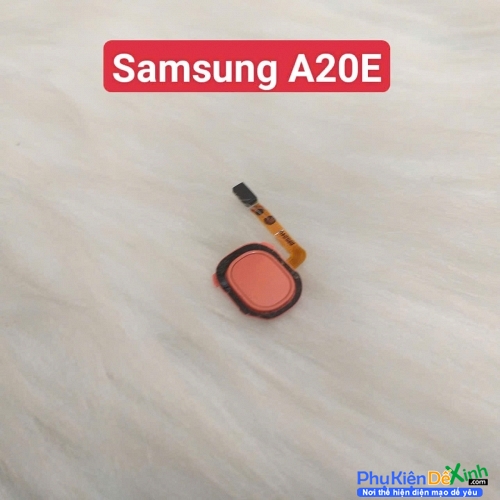 Dây Nút Vân Tay Samsung A20E Zin Tháo Máy