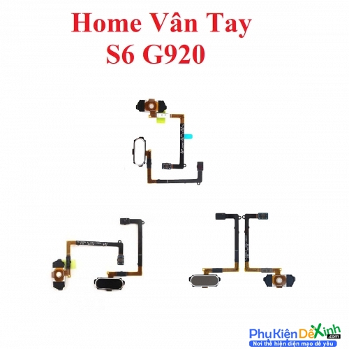 Dây Nút Home Vân Tay Samsung S6 G920 Zin Tháo Máy Có Trầy