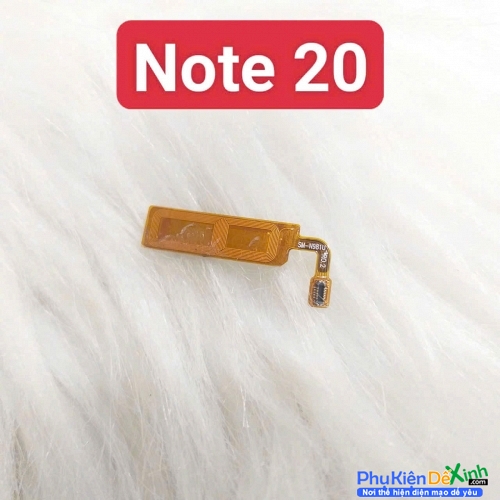 Dây Nút Cảm Biến Spen Samsung Note 20 Zin Tháo Máy