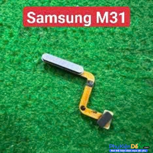 Dây Nút Nguồn Vân Tay Samsung M31 Zin New Thay Lấy Liền