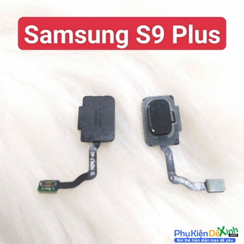 Dây Cảm Biến Vân Tay Samsung S9 Plus Zin Tháo Máy