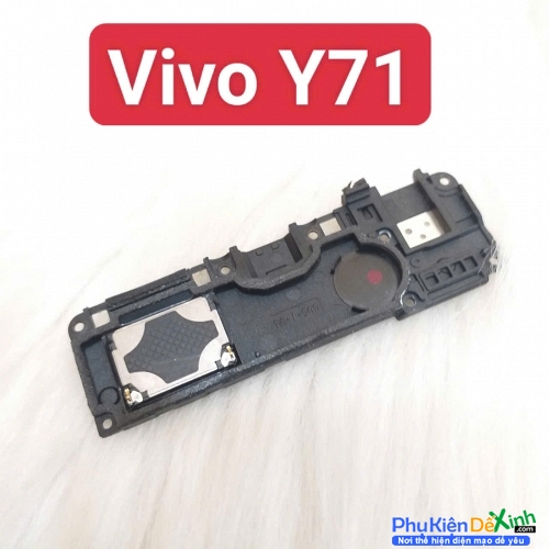 Loa Ngoài Vivo Y71 Zin Tháo Máy Hư Loa Ngoài, Rè Loa, Mất Loa Thay Lấy Liền
