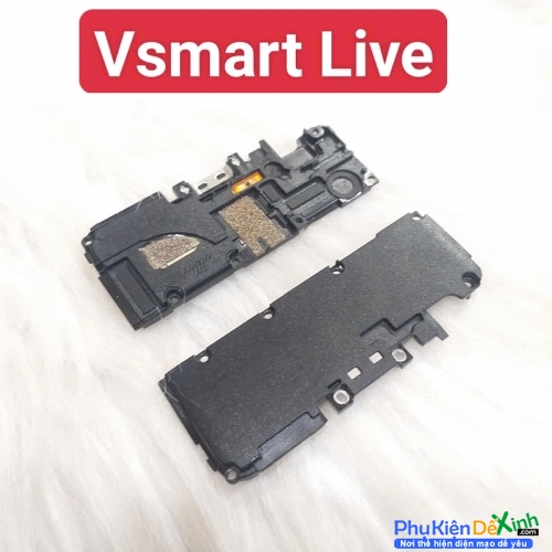 Loa Ngoài Vsmart Live Zin Tháo Máy Hư Loa Ngoài, Rè Loa, Mất Loa Thay Lấy Liền