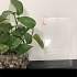 Kính Cường Lực Samsung Galaxy Tab A 8.0 2019 T295 Hiệu Glass