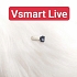 Hư Cảm Biến Tiệm Cận Vsmart Live Zin Tháo Máy