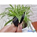 Dây Cáp Sạc SS S20 Ultra Chuẩn Type C 45W Linh Kiện Thay Thế