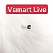 Hư Cảm Biến Tiệm Cận Vsmart Live Zin Tháo Máy