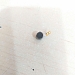 Cục Rung Đồng Hồ Samsung Galaxy Watch ...