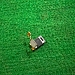 Loa Trong Samsung A3 2017 Zin Tháo ...