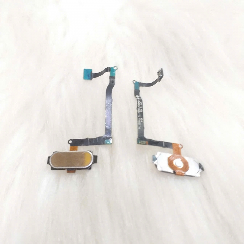 Dây Nút Home Vân Tay Samsung Note 5 N920 Zin Tháo Máy Có Trầy