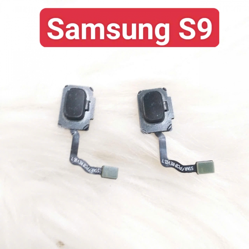 Dây Cảm Biến Vân Tay Samsung S9 Zin Tháo Máy